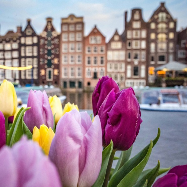 Book your Viking voyage by September 30, 2025 and save up to $4,000 per person plus enjoy up to free international airfare and $25 deposit on select voyages. You'll also get to choose from up to $1,000 shipboard credit or a free beverage package and included gratuities on select voyages.