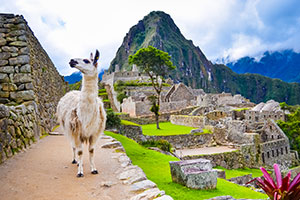 Colombia/Peru